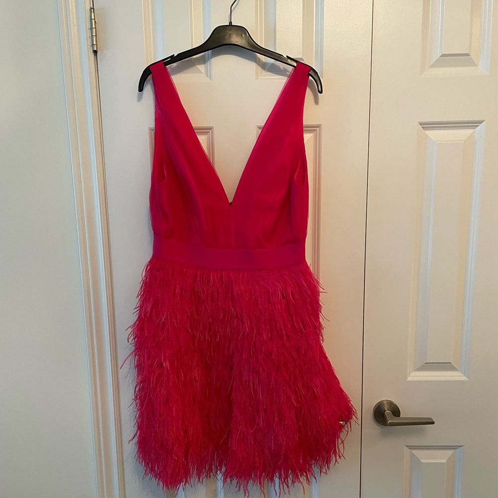 Alice and Olivia Fuscia Feather Pink Mini Dress NWT Size 10.